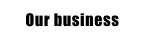 Our business