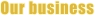 Our business
